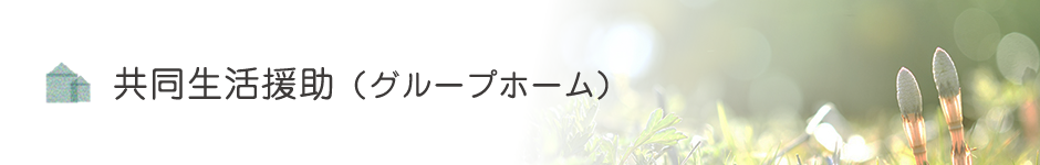 共同生活援助（グループホーム）